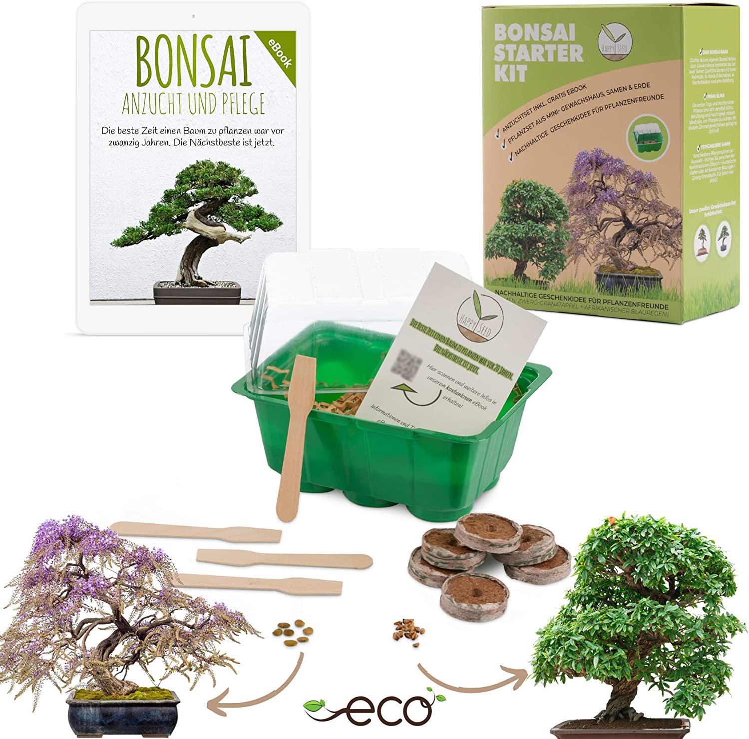 Kit de culture Bonsaï - A faire pousser avec pot - Radis et