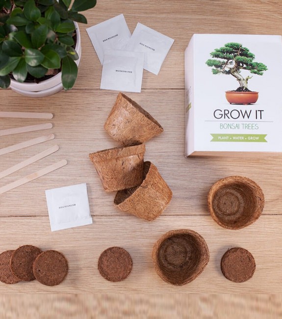 Kit de démarrage de graines de bonsaï – Coffret cadeau unique – Tout ce qui  est nécessaire pour